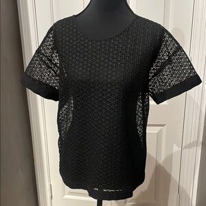 Ann Taylor Black Boxy Relaxed Short Sleeve Tee See through Shirt (C)
